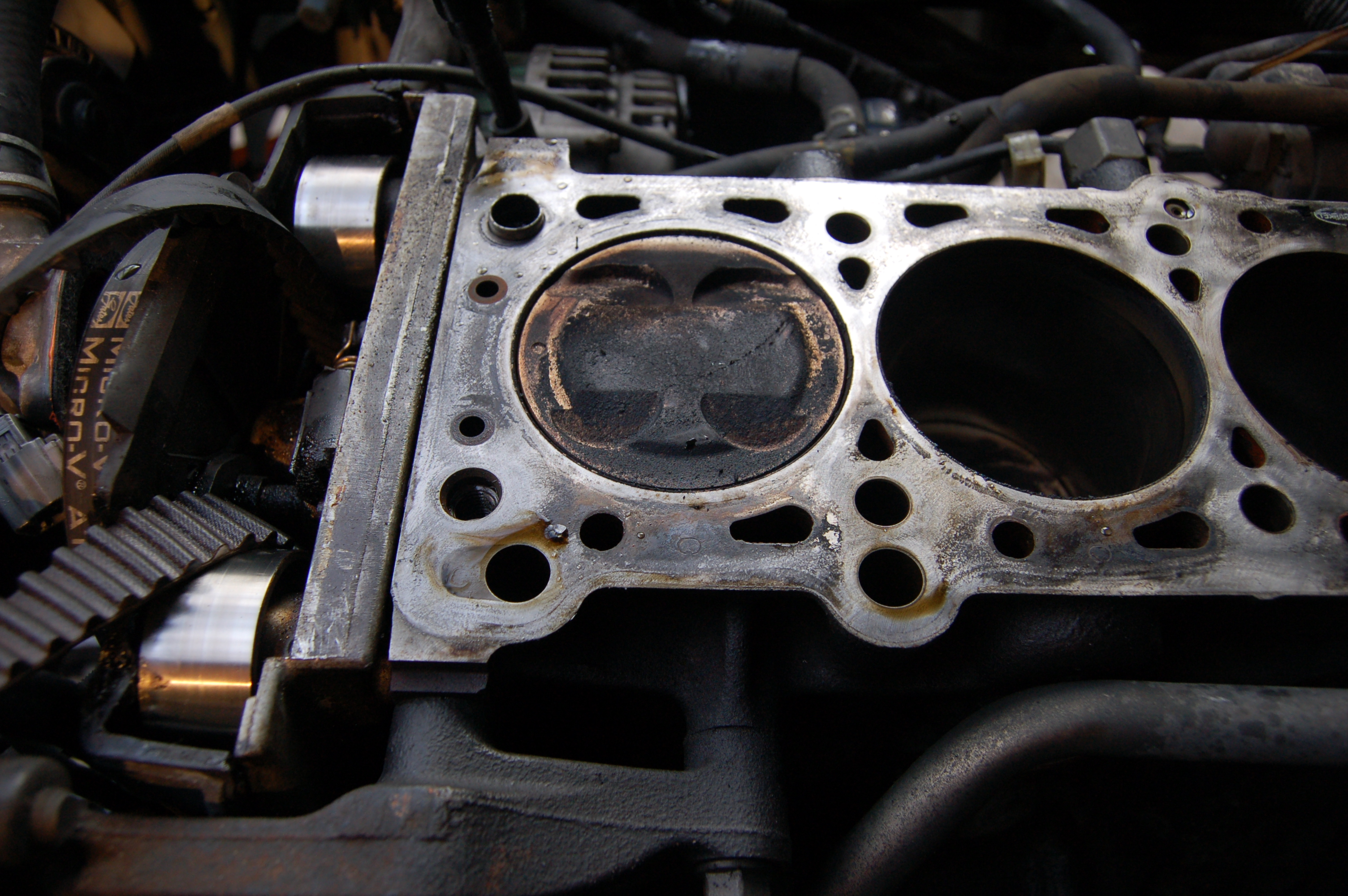 Name:  DSC_0187.jpg
Views: 177
Size:  2.79 MB