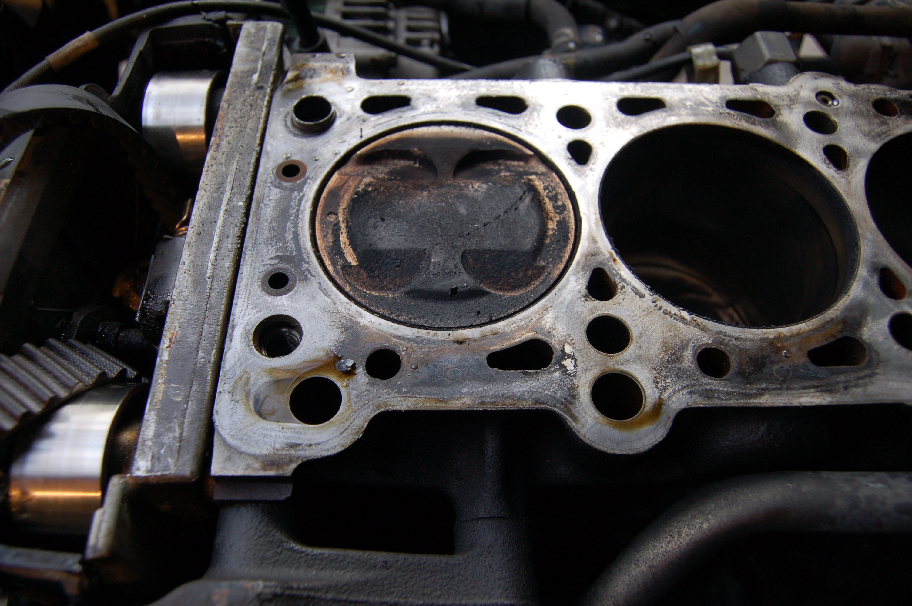 Name:  DSC_0186.jpg
Views: 195
Size:  2.78 MB