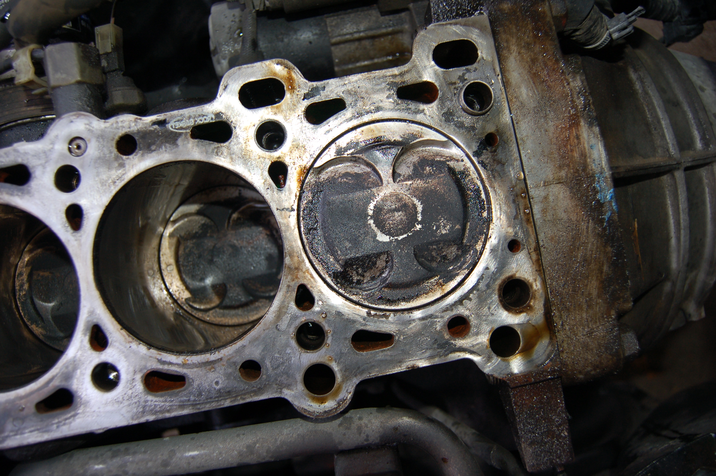 Name:  DSC_0181.jpg
Views: 211
Size:  2.62 MB