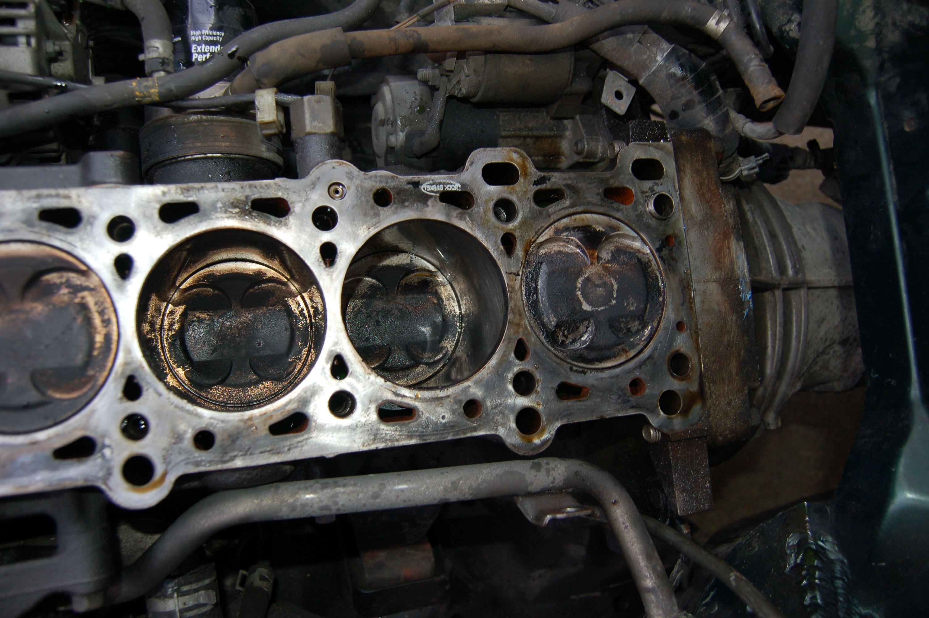 Name:  DSC_0183-1.jpg
Views: 198
Size:  2.82 MB