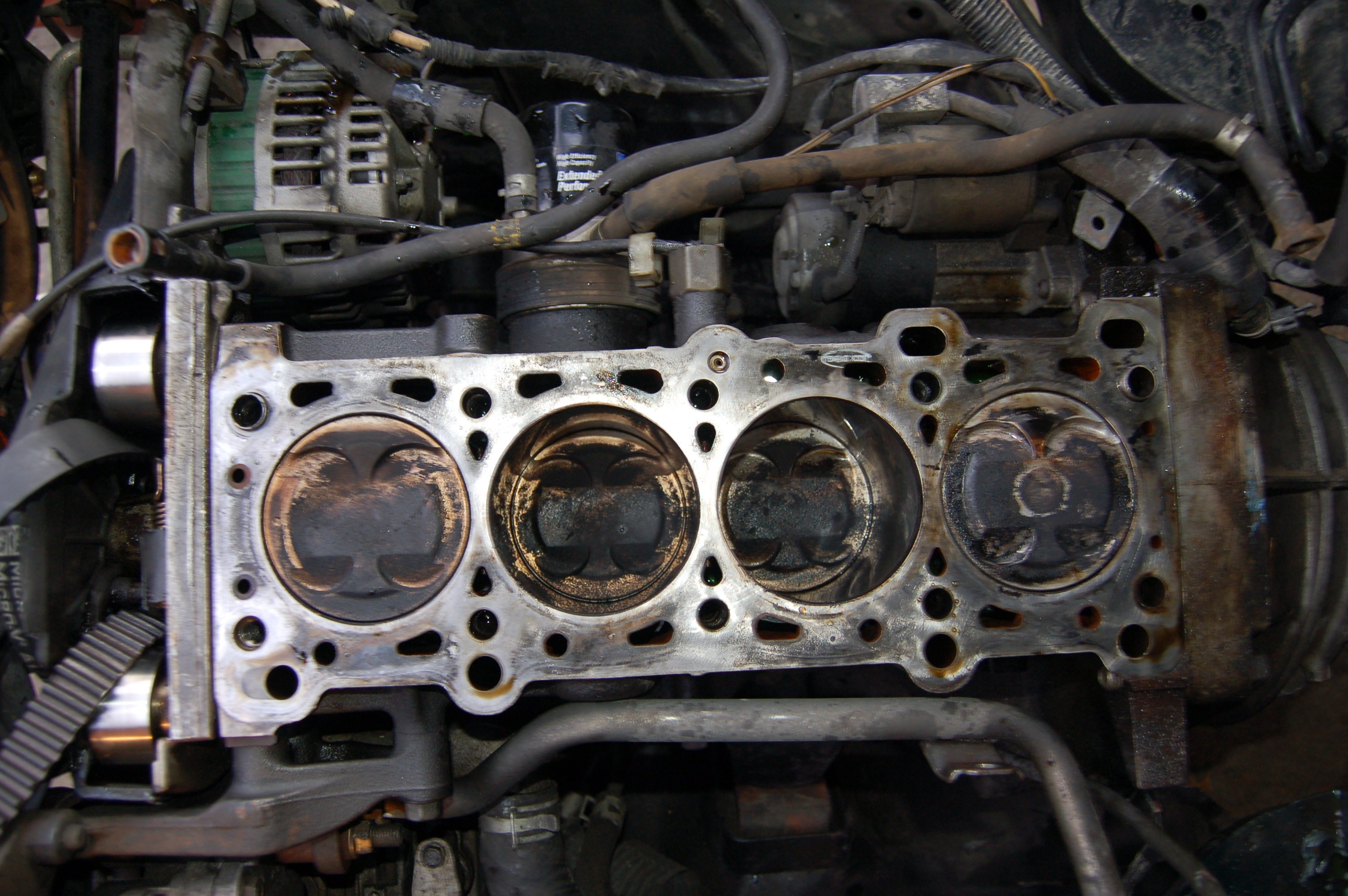 Name:  DSC_0184-1.jpg
Views: 223
Size:  2.31 MB