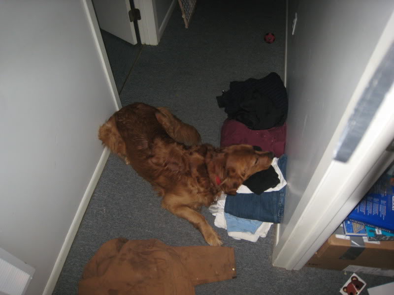 Name:  Picture040.jpg
Views: 272
Size:  58.9 KB