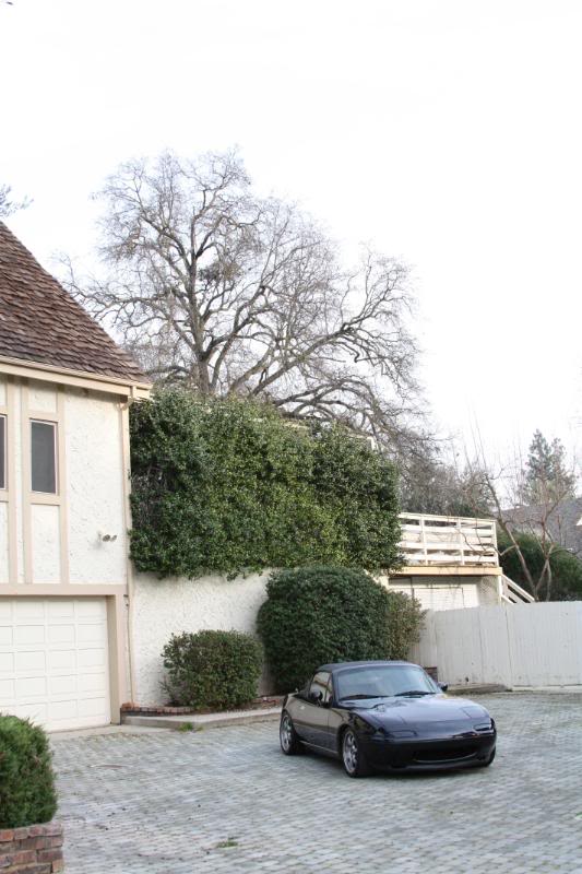 Name:  IMG_9782.jpg
Views: 67
Size:  74.3 KB