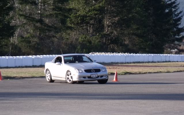 Name:  2010_03060038.jpg
Views: 107
Size:  49.0 KB