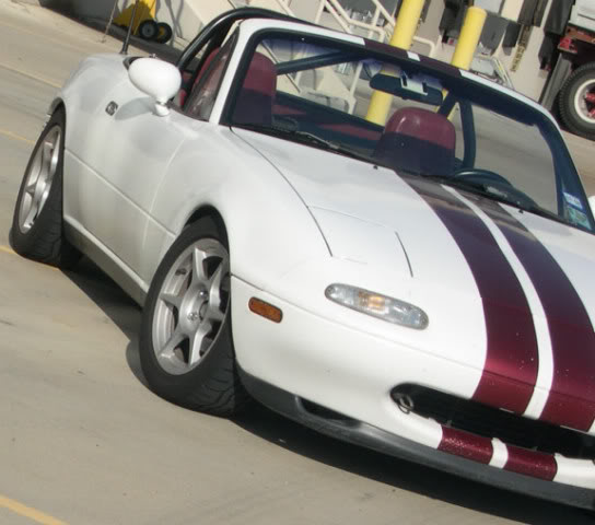 Name:  calla21.jpg
Views: 2170
Size:  50.9 KB