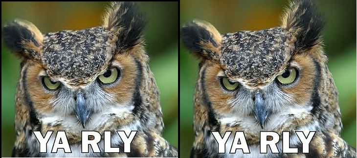 Name:  dblyarly.jpg
Views: 497
Size:  62.4 KB