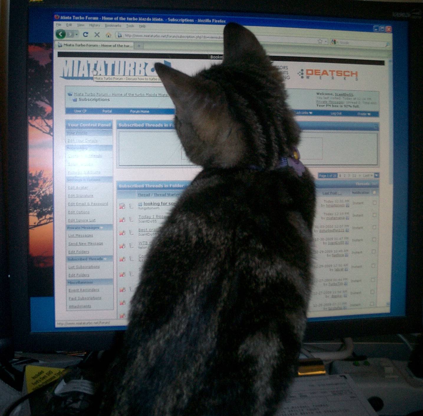 Name:  1st.jpg
Views: 124
Size:  254.8 KB