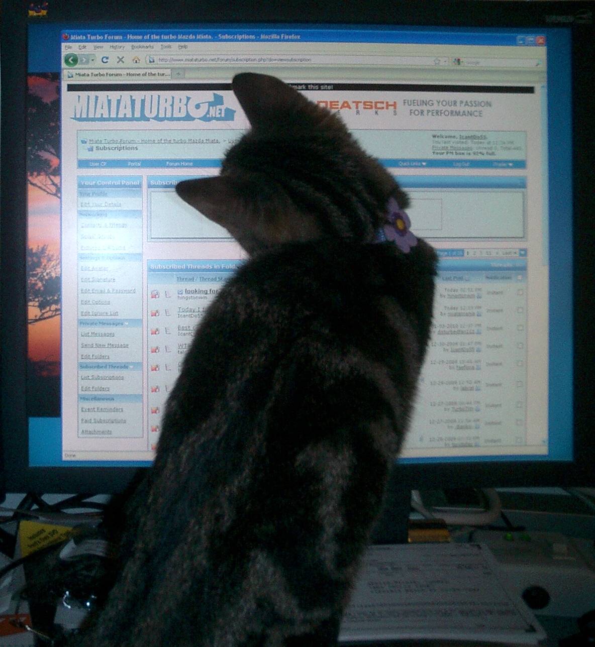 Name:  watch.jpg
Views: 90
Size:  170.7 KB