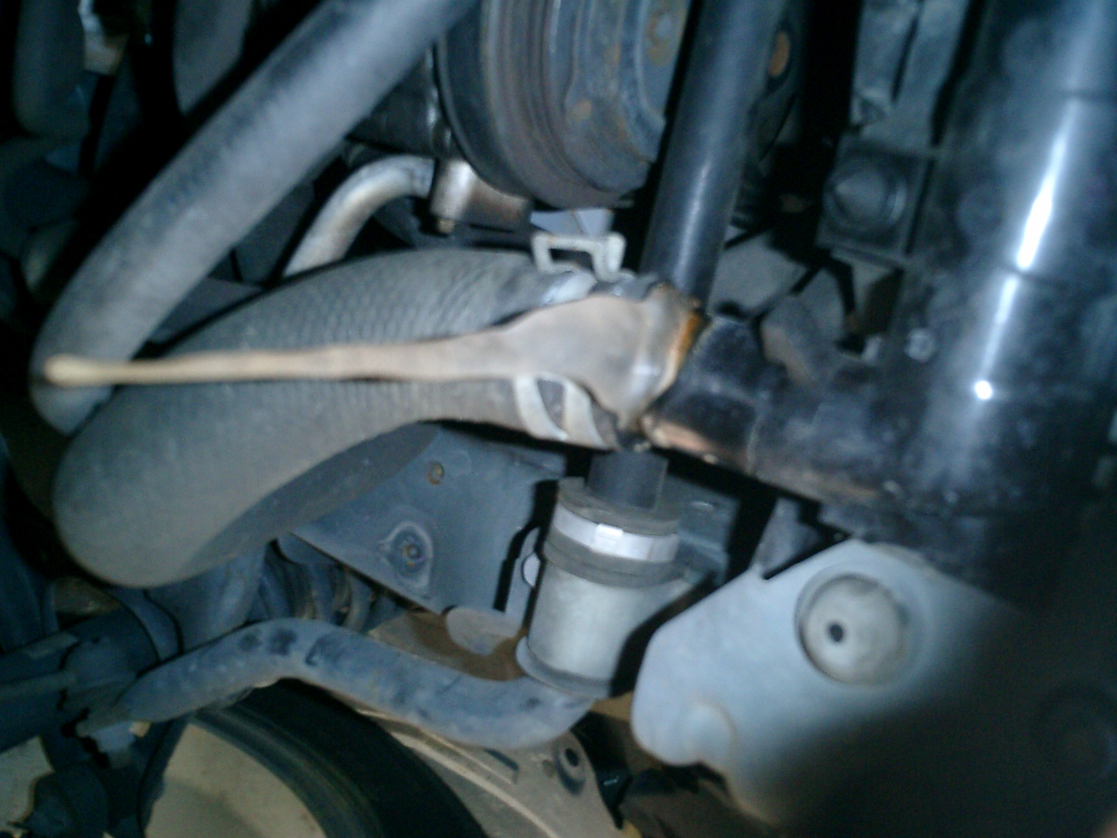 Name:  CIMG1687.jpg
Views: 106
Size:  862.9 KB