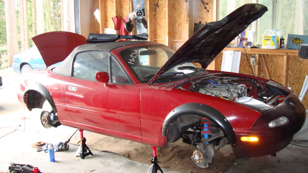 Name:  DSC00175.jpg
Views: 61
Size:  138.8 KB