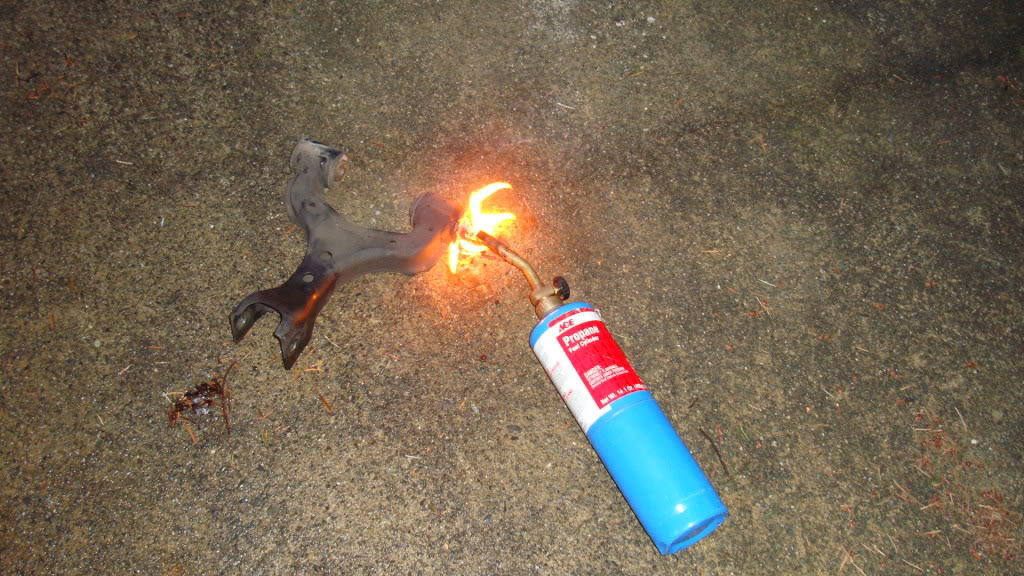 Name:  DSC00180.jpg
Views: 64
Size:  193.3 KB