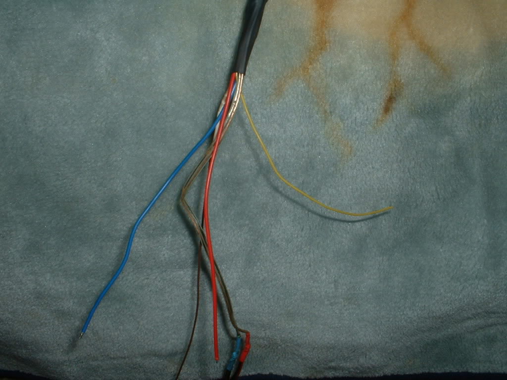 Name:  DSCF0055.jpg
Views: 86
Size:  122.4 KB