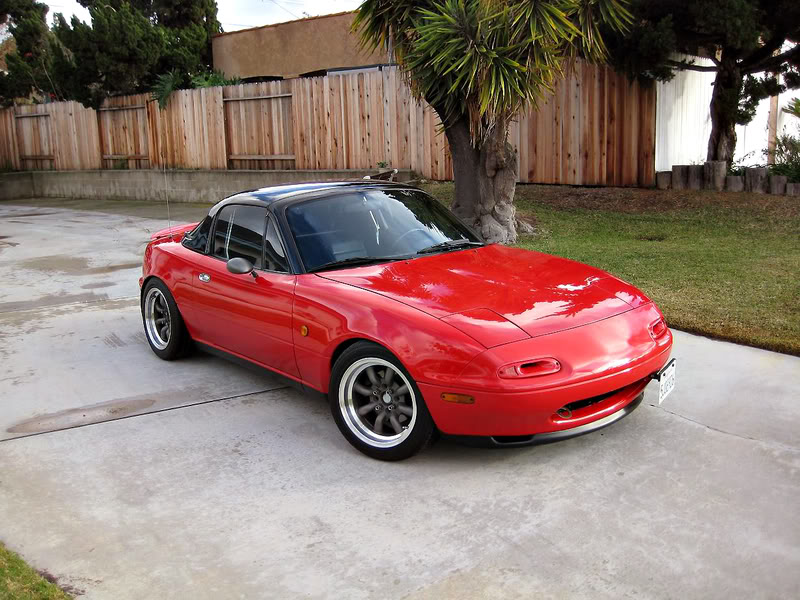 Name:  Cypress015b.jpg
Views: 93
Size:  124.4 KB