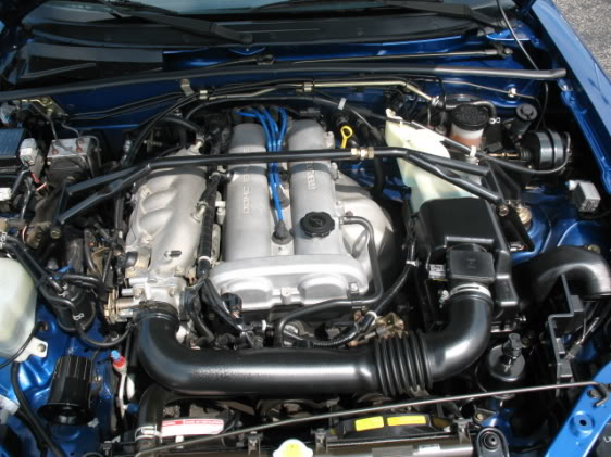 Name:  12385272834264929871IM125565x421_A5.jpg
Views: 871
Size:  61.4 KB