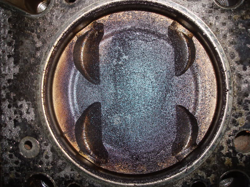 Name:  DSC00286-1.jpg
Views: 99
Size:  204.9 KB