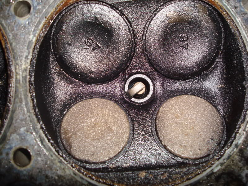 Name:  DSC00281.jpg
Views: 101
Size:  191.3 KB