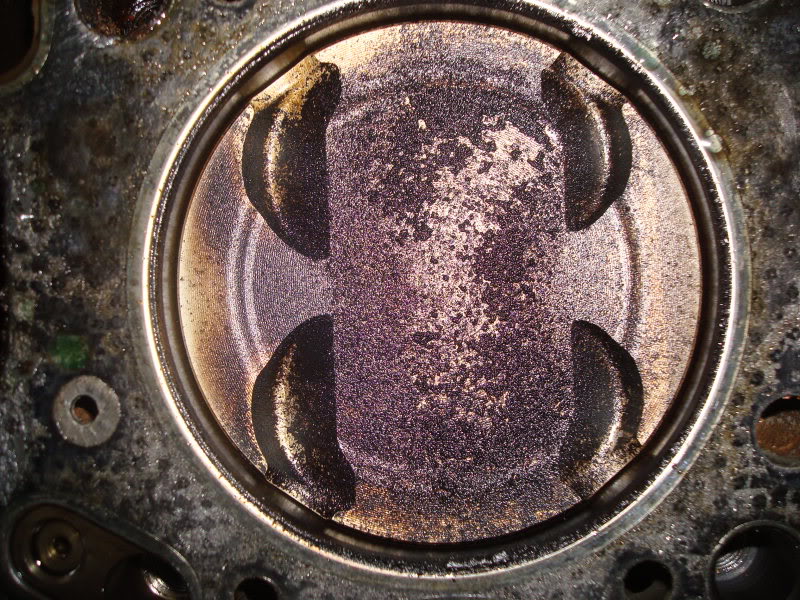 Name:  DSC00287-1.jpg
Views: 107
Size:  189.4 KB