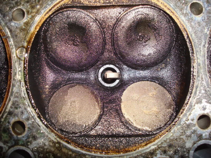 Name:  DSC00282.jpg
Views: 102
Size:  199.5 KB