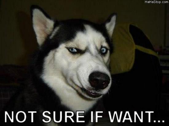 Name:  Not_Really_Sure.jpg
Views: 66
Size:  23.7 KB