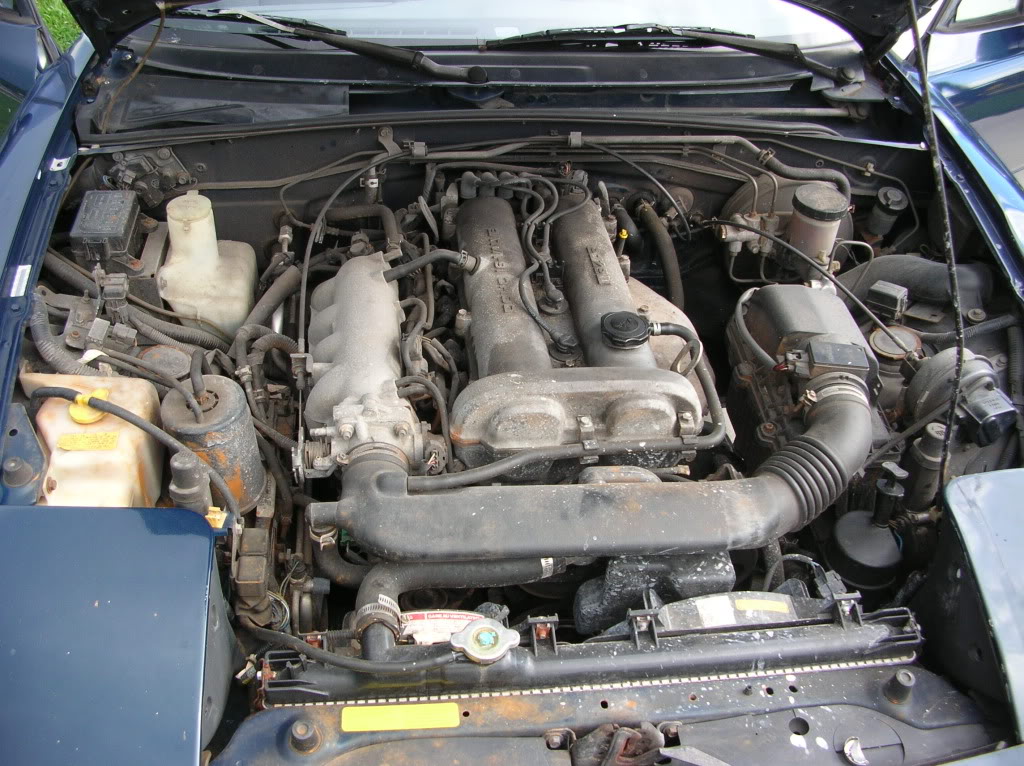 Name:  DSCN3009.jpg
Views: 95
Size:  214.9 KB