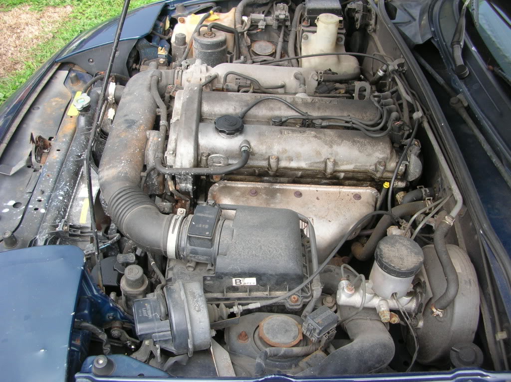 Name:  DSCN3010.jpg
Views: 93
Size:  227.9 KB