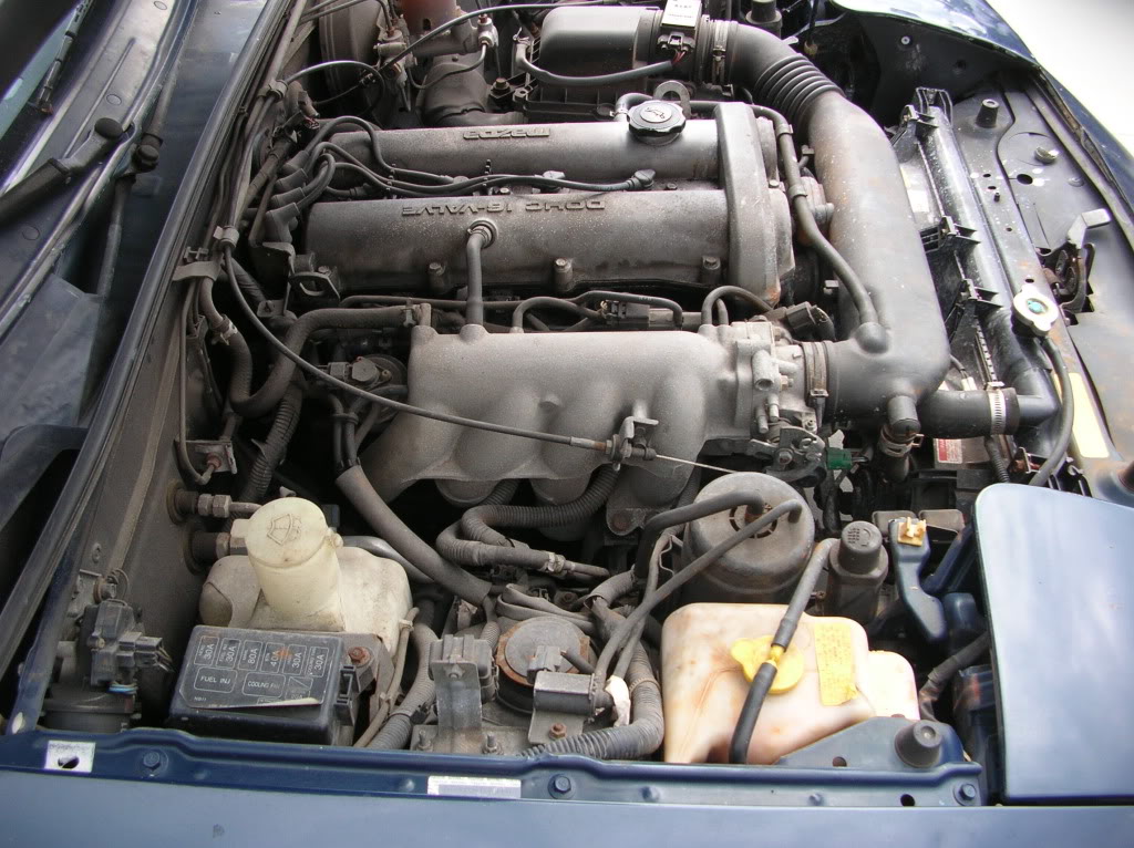 Name:  DSCN3011.jpg
Views: 93
Size:  198.2 KB