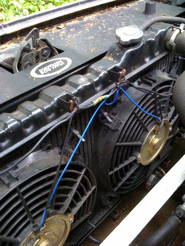 Name:  photo2.jpg
Views: 140
Size:  137.2 KB