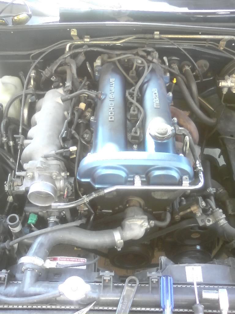 Name:  p_00056.jpg
Views: 833
Size:  112.6 KB