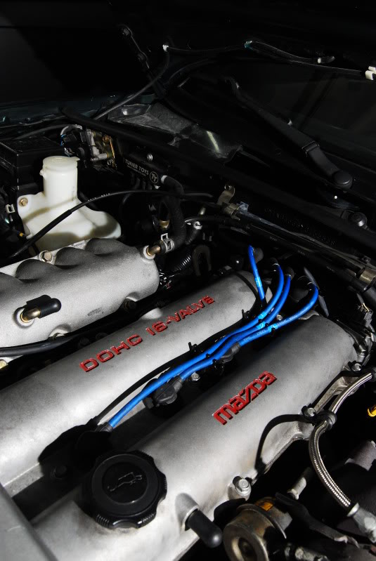 Name:  DSC_5089.jpg
Views: 204
Size:  98.7 KB