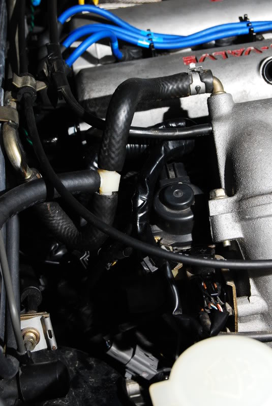 Name:  DSC_5085.jpg
Views: 200
Size:  107.8 KB