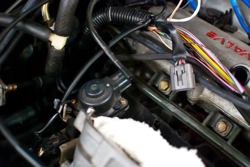 Name:  DSC_5059.jpg
Views: 245
Size:  78.3 KB