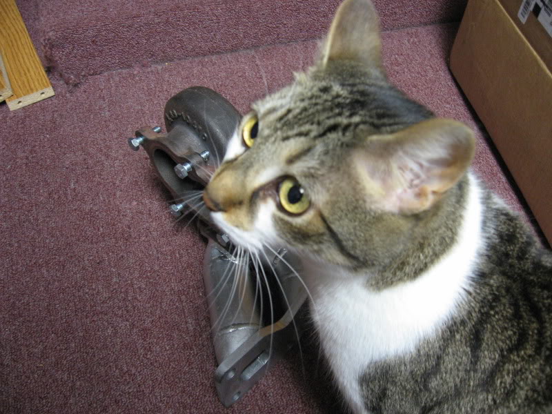 Name:  IMG_1356.jpg
Views: 56
Size:  124.6 KB