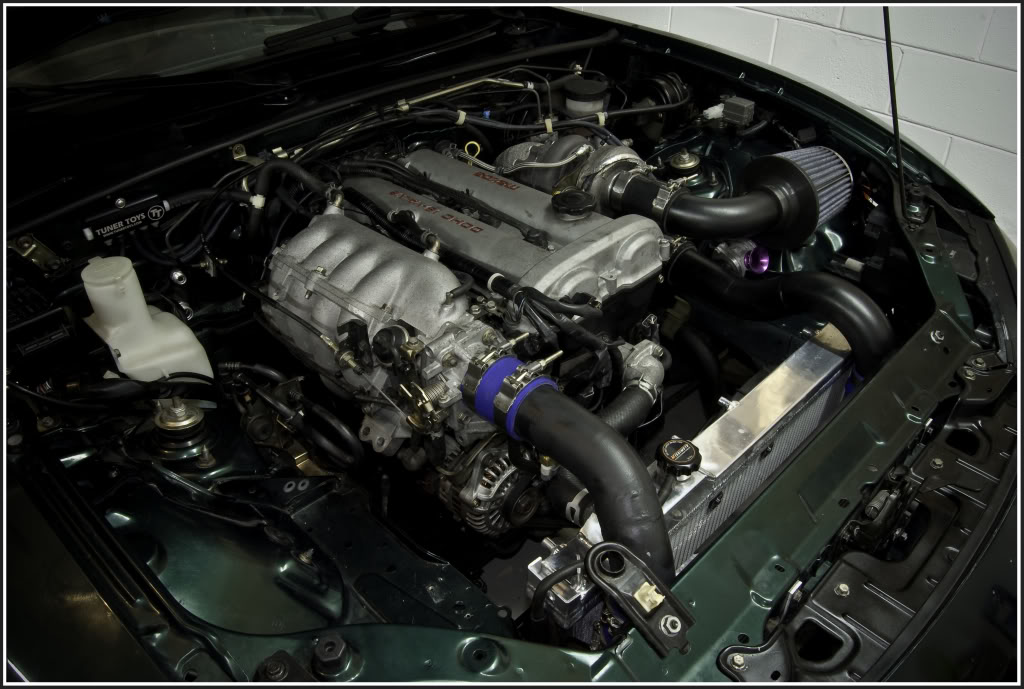 Name:  DSC_1463-Edit.jpg
Views: 79
Size:  125.2 KB