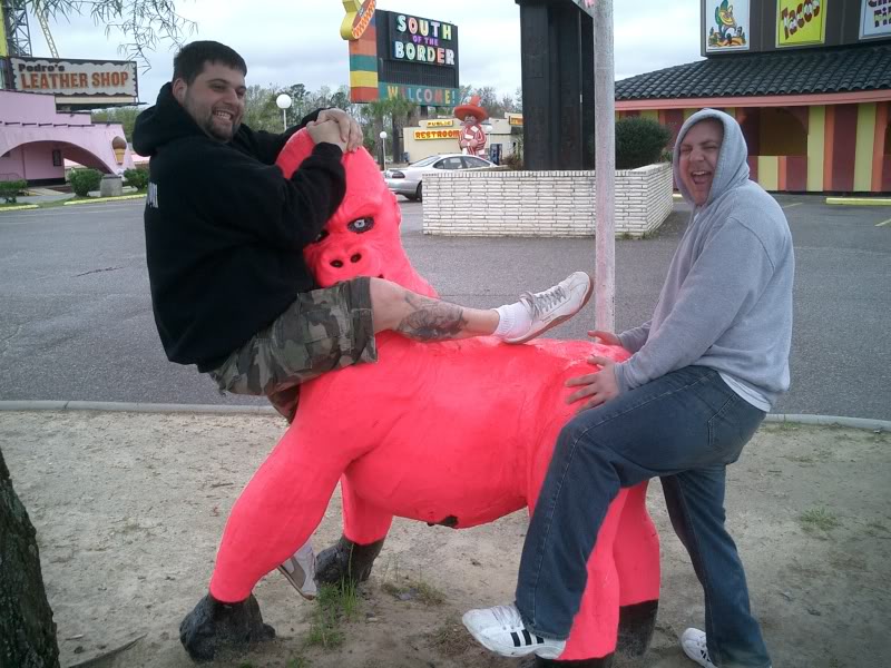 Name:  CIMG0929.jpg
Views: 46
Size:  134.3 KB