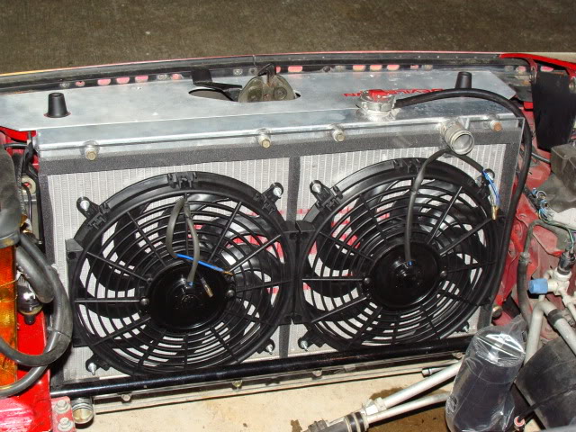 Name:  DSC03477.jpg
Views: 88
Size:  104.1 KB