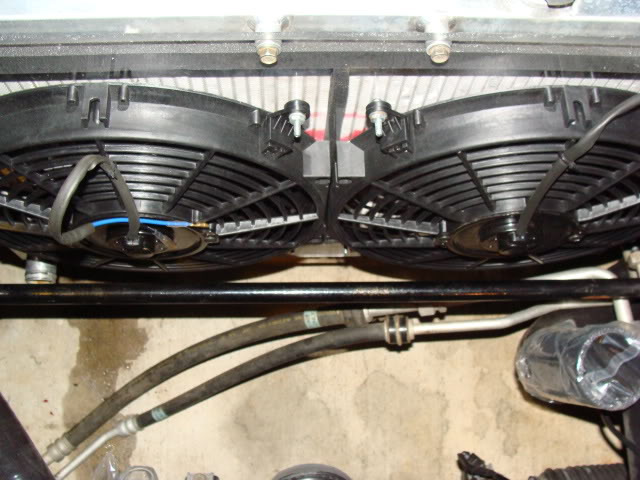 Name:  DSC03480.jpg
Views: 94
Size:  69.3 KB