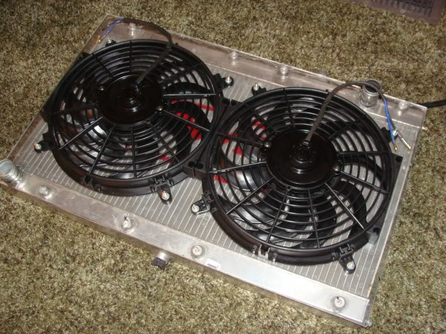 Name:  DSC03438.jpg
Views: 262
Size:  111.9 KB