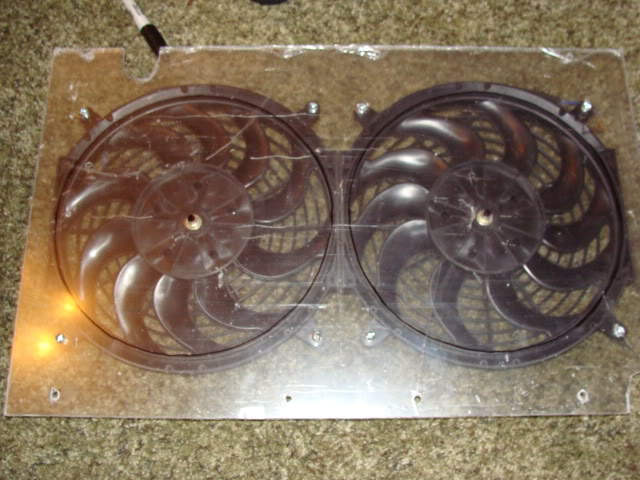 Name:  DSC03439.jpg
Views: 224
Size:  69.0 KB