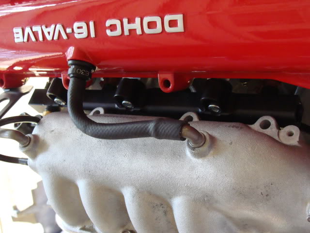 Name:  DSC03429.jpg
Views: 86
Size:  61.9 KB