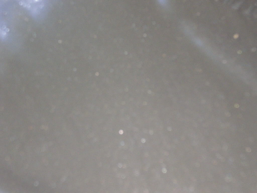 Name:  DSCN1343.jpg
Views: 931
Size:  85.3 KB