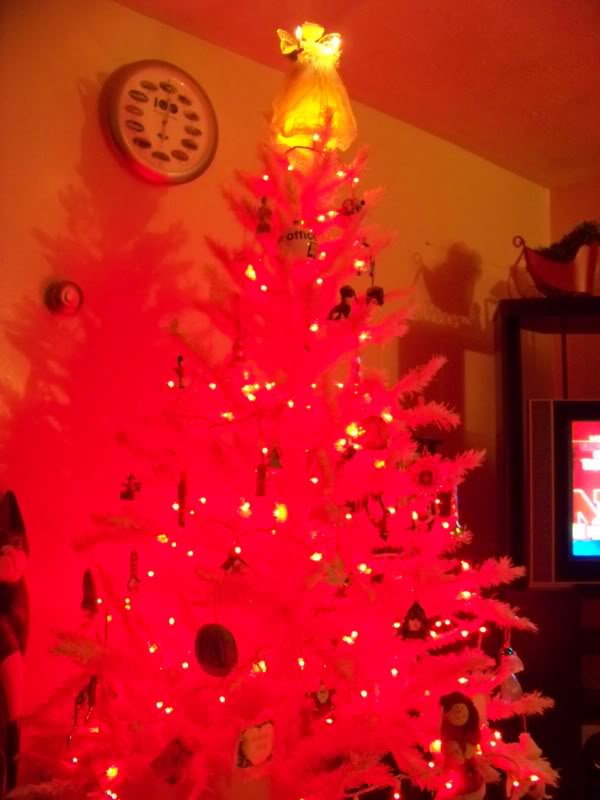 Name:  101_0013.jpg
Views: 52
Size:  59.4 KB