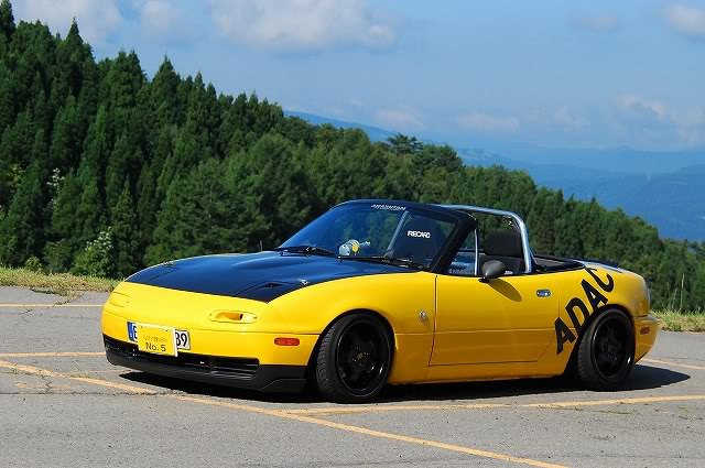 Name:  DSC_1994.jpg
Views: 2704
Size:  67.7 KB