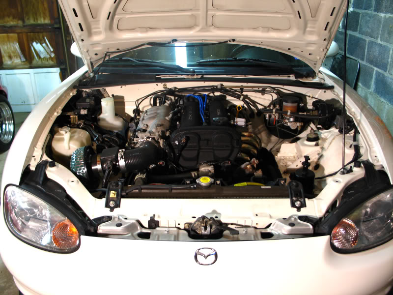 Name:  Picture002_edit.jpg
Views: 720
Size:  108.4 KB