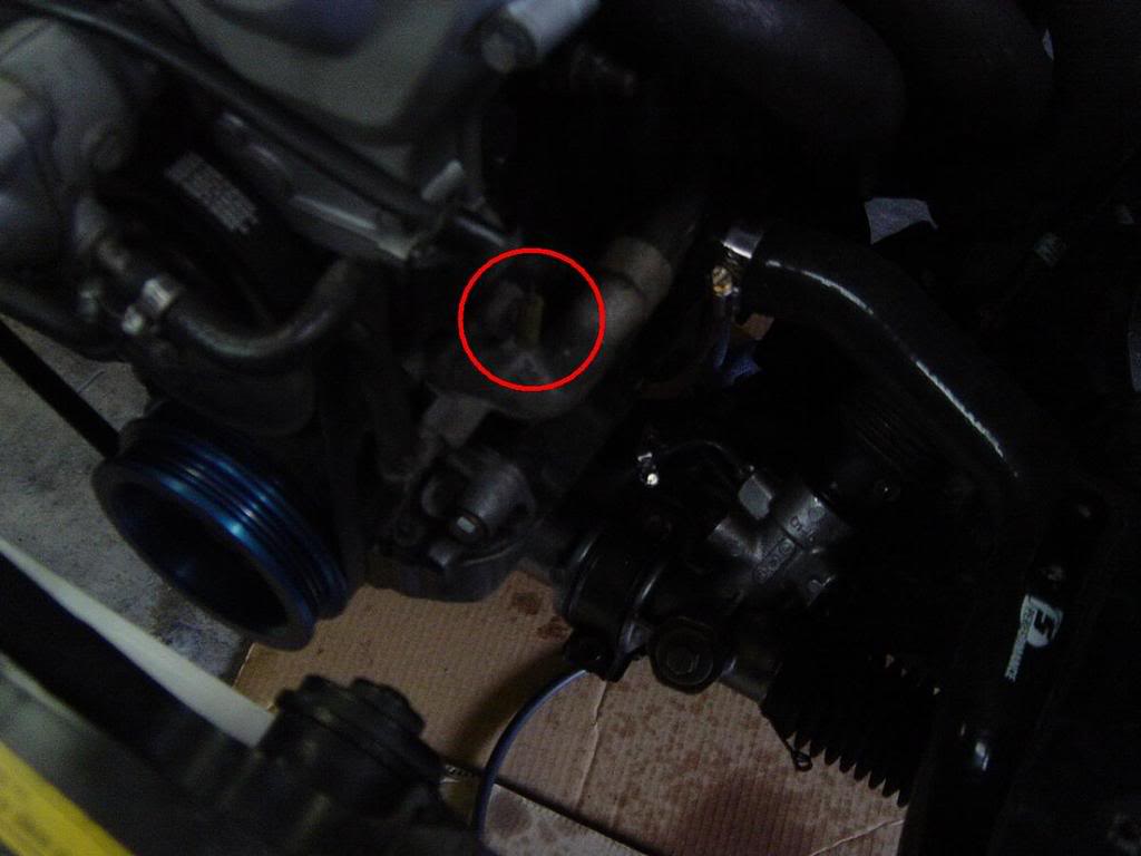 Name:  DSC06716.jpg
Views: 39
Size:  54.3 KB