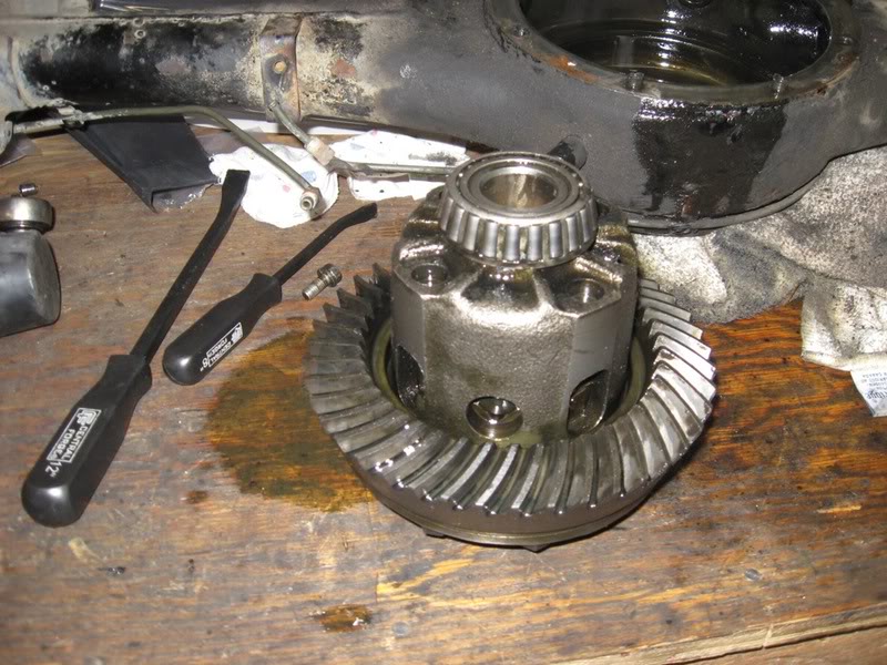 Name:  IMG_1421.jpg
Views: 389
Size:  113.6 KB