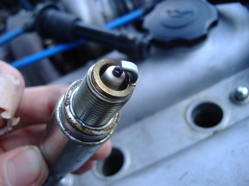 Name:  DSCF1110.jpg
Views: 256
Size:  69.5 KB