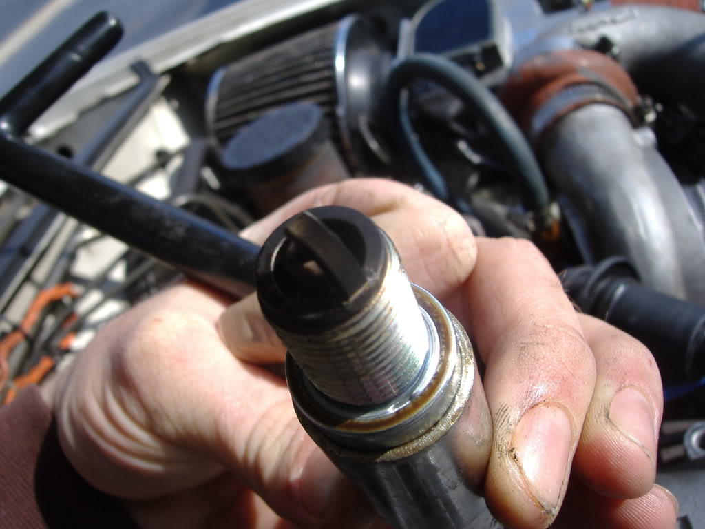 Name:  DSCF1112.jpg
Views: 238
Size:  85.8 KB