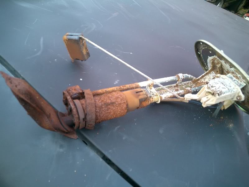 Name:  CIMG0765.jpg
Views: 112
Size:  74.0 KB