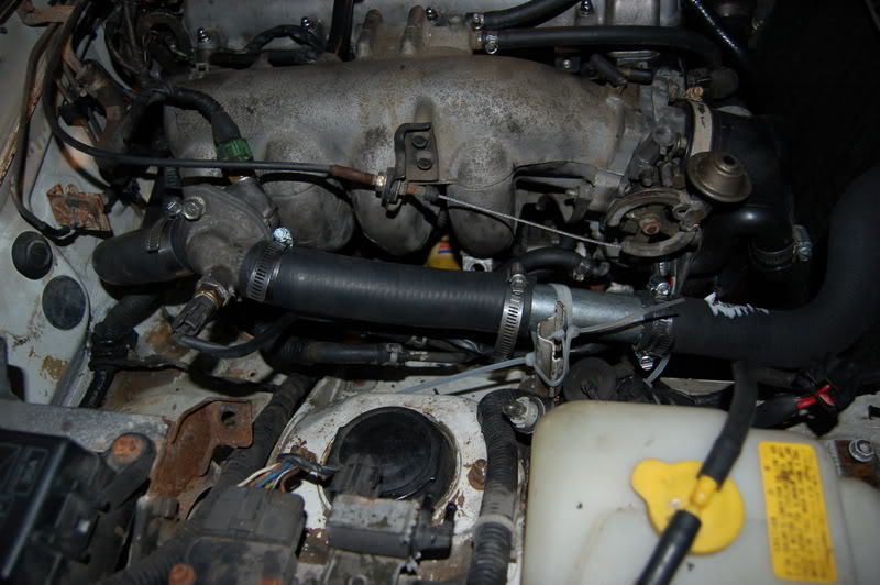 Name:  DSC_0255.jpg
Views: 127
Size:  105.5 KB