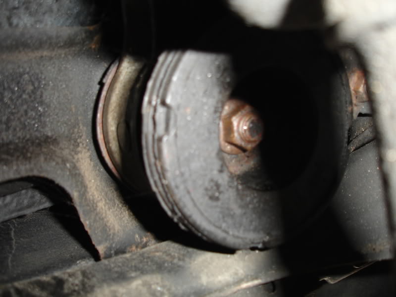 Name:  DSC01545.jpg
Views: 123
Size:  47.0 KB